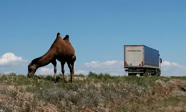 грузовая машин ЕС Транс